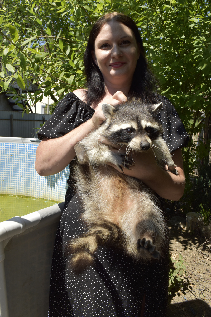 Лидия Дворникова со шкодной енотихой Глашей.