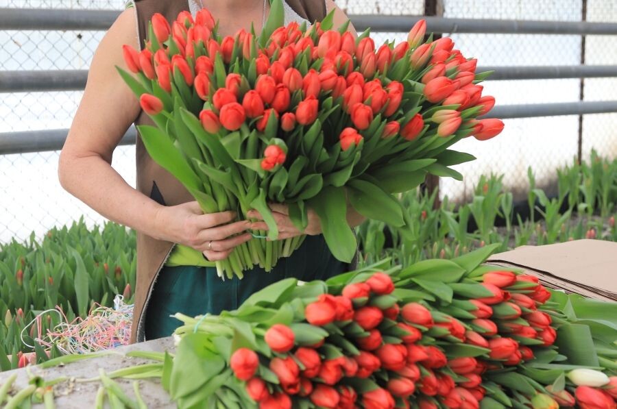     / Источник: © Денис Абрамов/РИА Новости