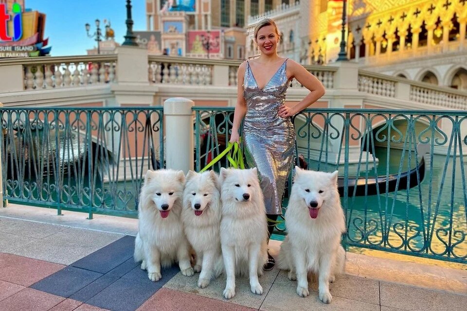 Сибирячка путешествует по всему миру с огромными самоедами. Фото: Оксана Набокова