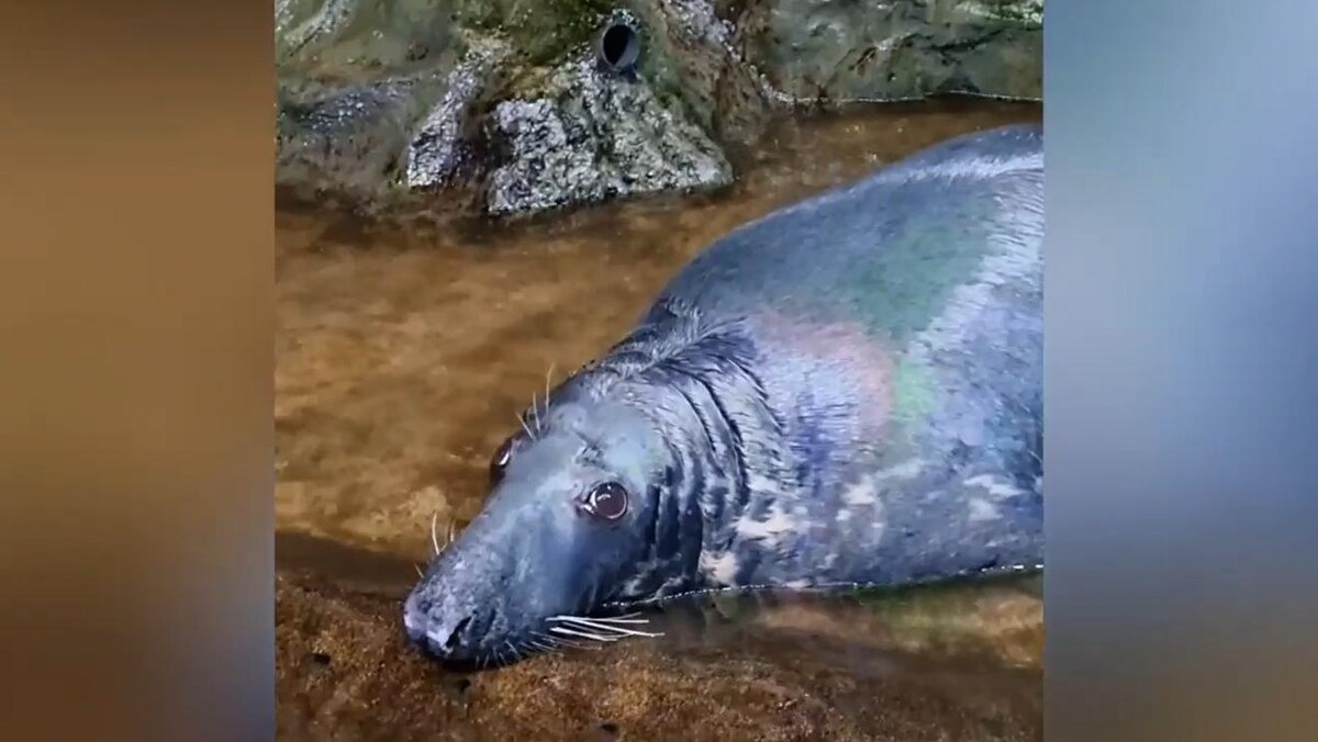    Фото: vk.com/aquarium_spb