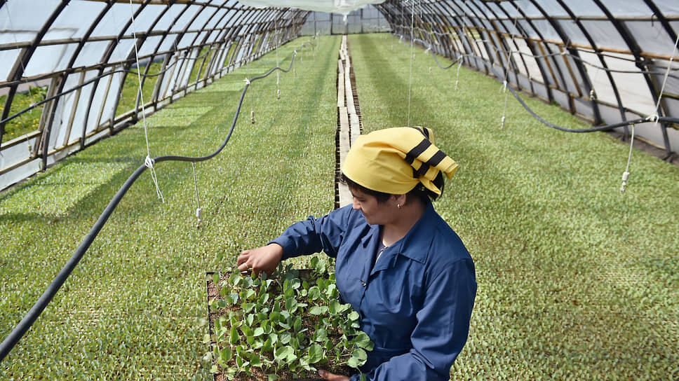 Фото: Влад Некрасов / Коммерсантъ