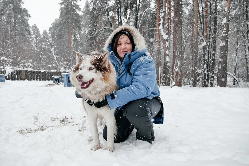 Хаски не раз выручали семью Семеновых в сложных ситуациях. Фото: Светлана МАКОВЕЕВА