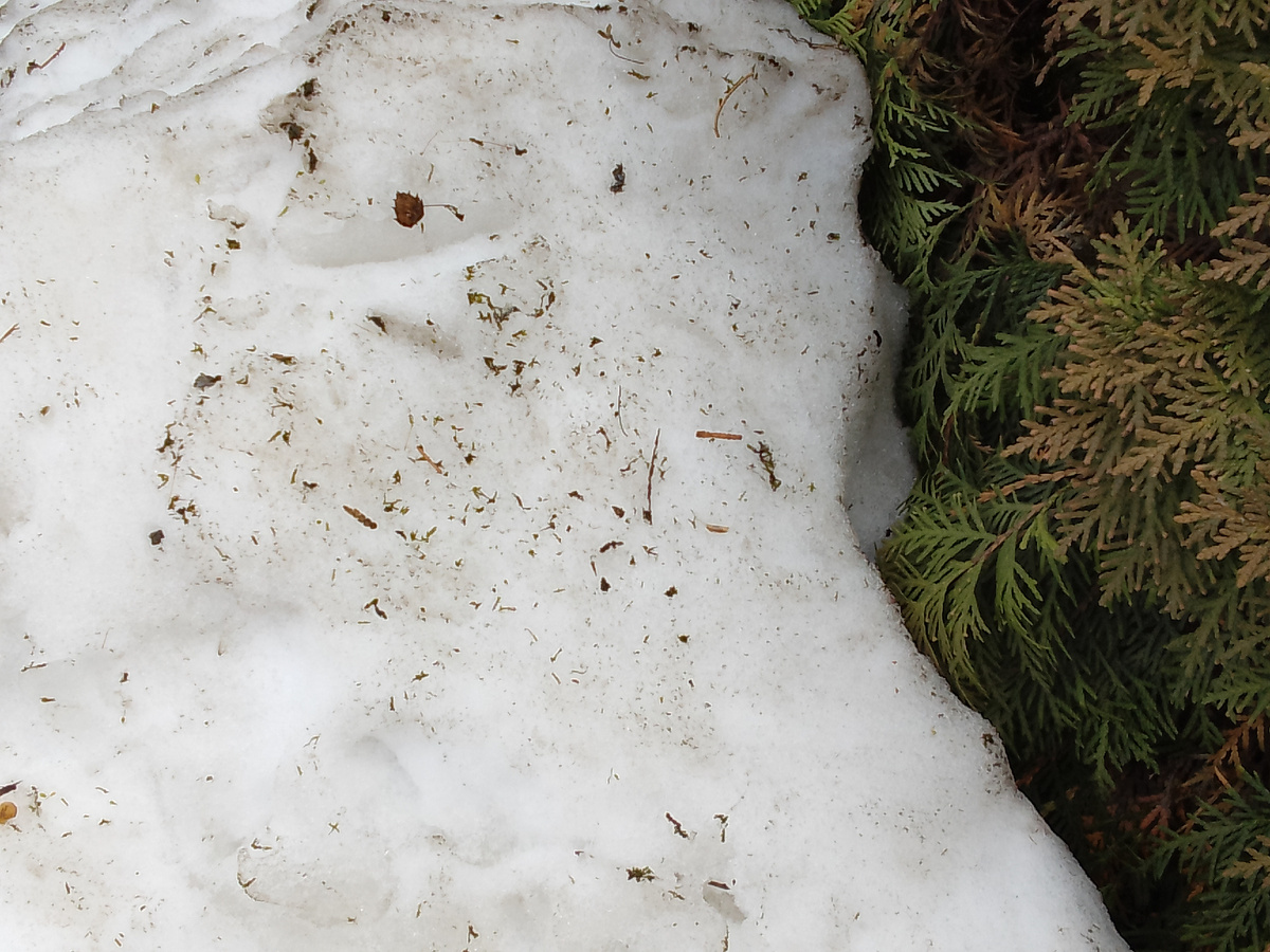 Это же ужас какой-то, фи