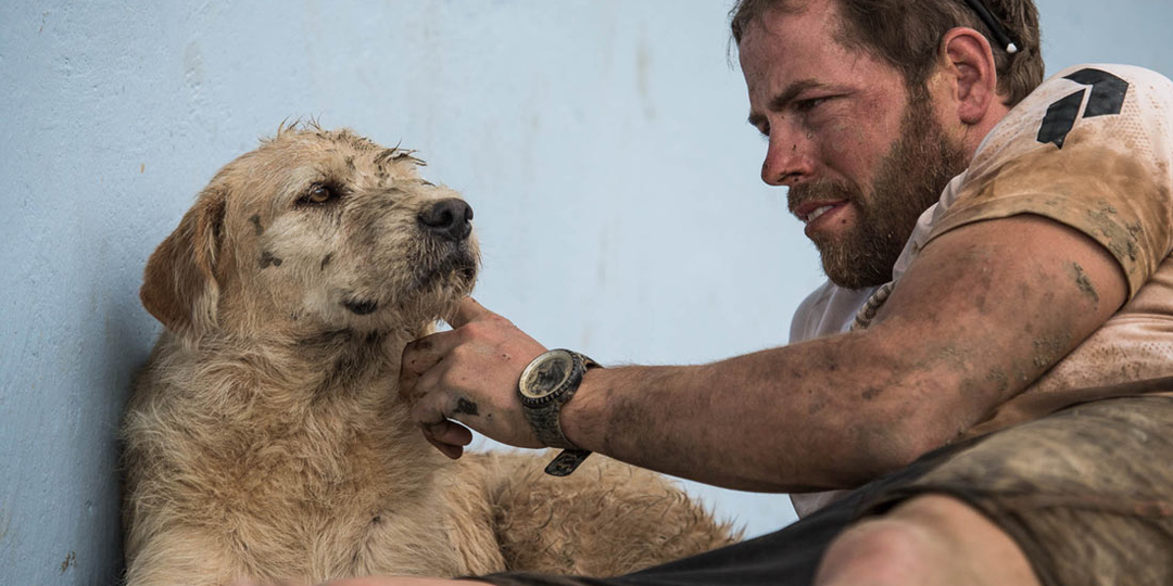Трогательная история про эквадорскую дворнягу и настоящего человека