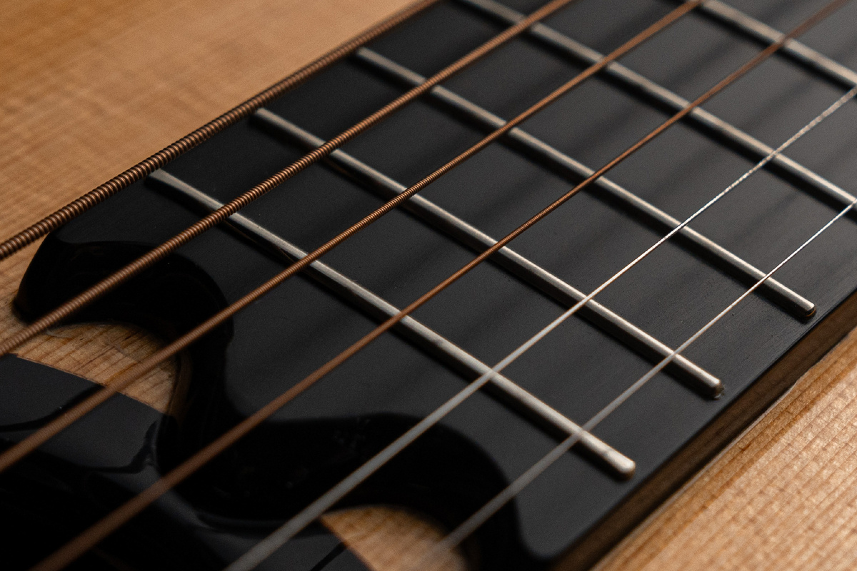 Струны на акустической гитаре MeridaExtrema M1RW, D'Addario EXP16 фосфорная бронза,12-53