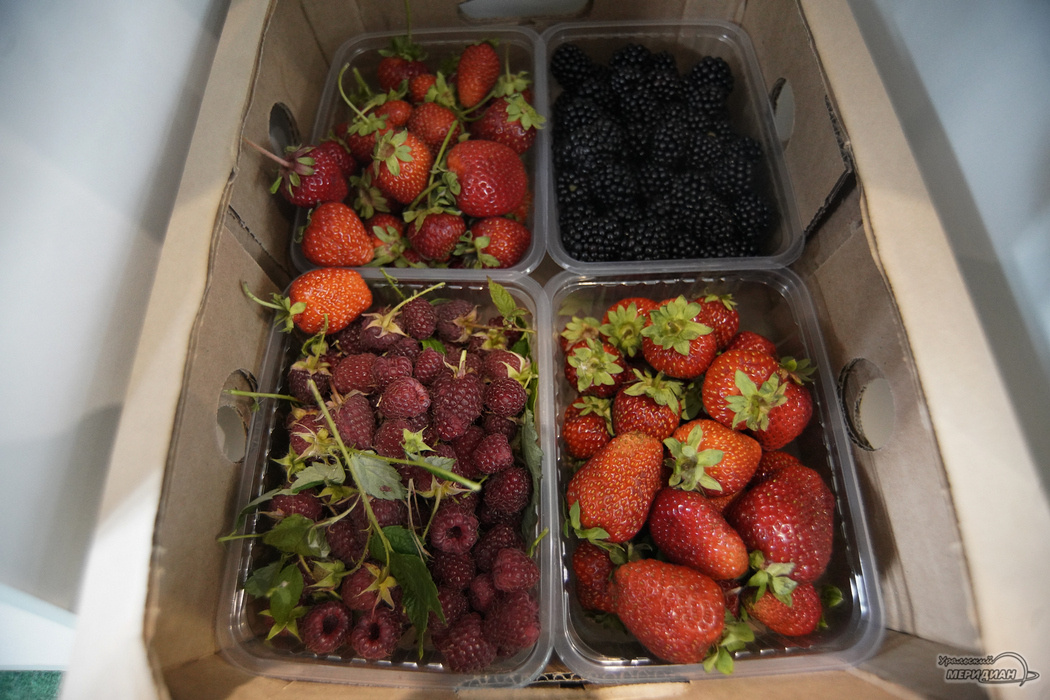    Фото: Лидия Аникина © ИА «Уральский меридиан»