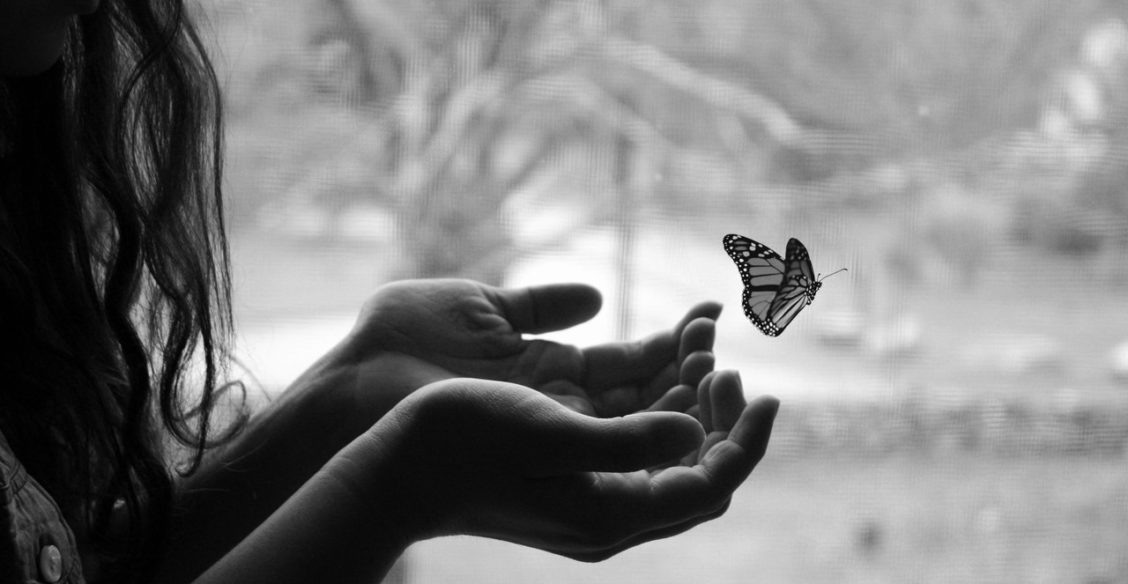 Тогда я еще не понимала, что доверие - самая хрупкая вещь на свете, как и эта бабочка на фото из интернета.