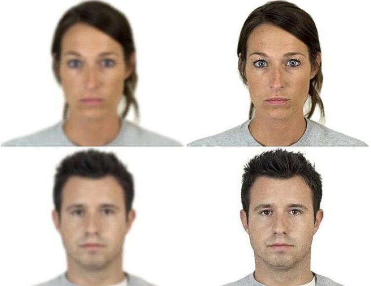 Изображения, которые показывали испытуемым: сначала - размытое, потом – четкое.