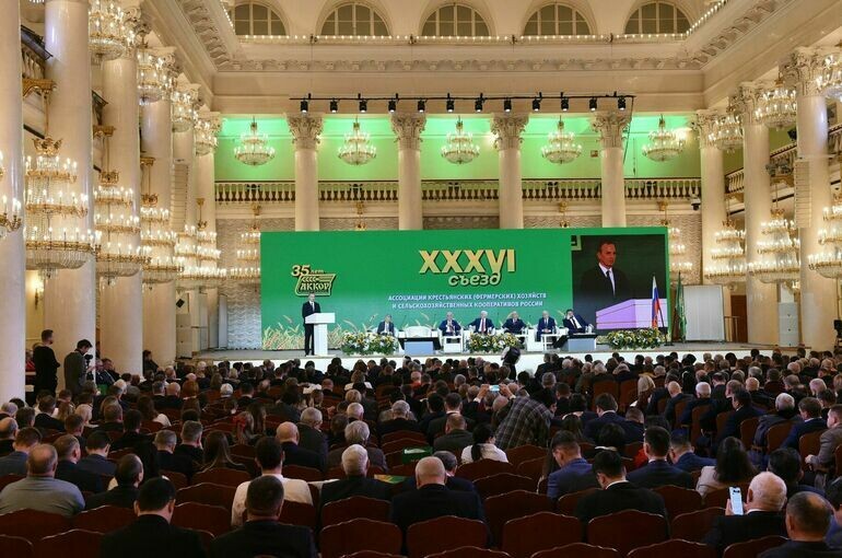   Игорь Самохвалов/ПГ