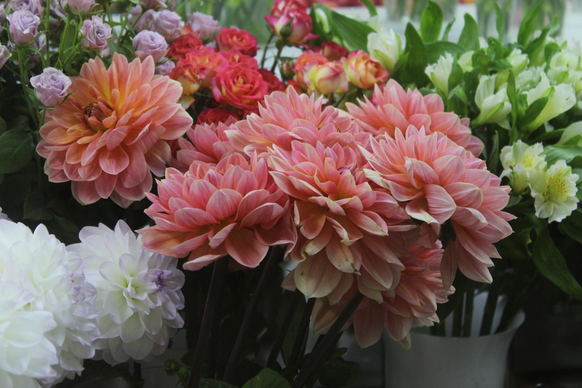    Baltphoto/Надежда Цветкова