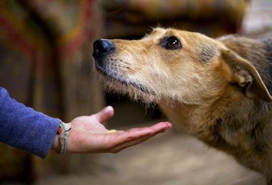 Из свободных источников