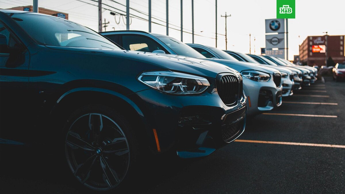    Фото: Erik Mclean / unsplash.com