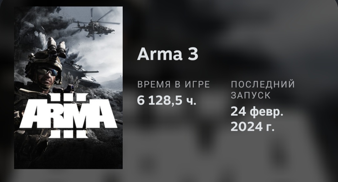 6 128 часов я жил в Арме на RP-серверах и Кинге.