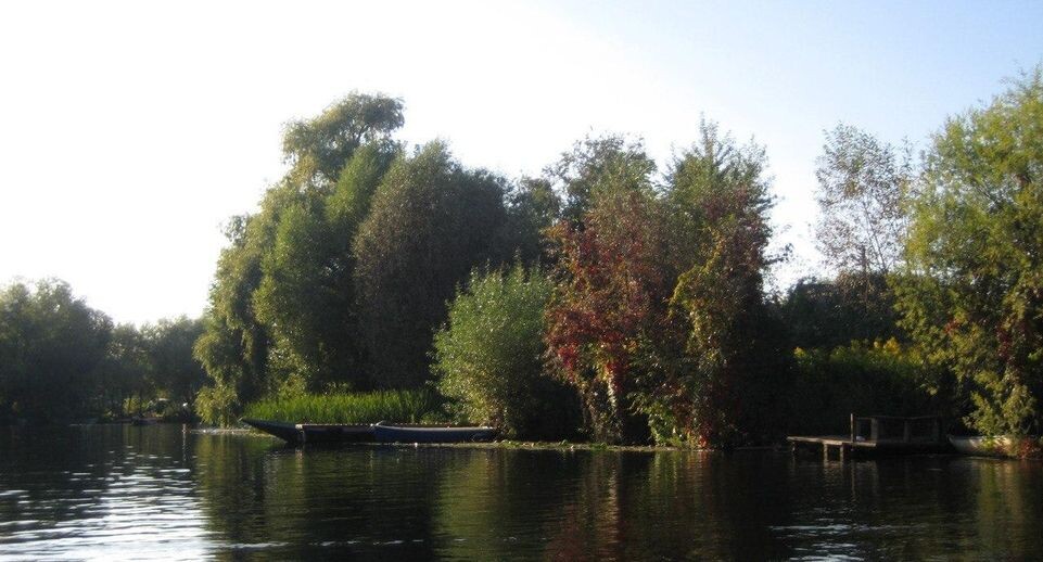    С.А Карпова