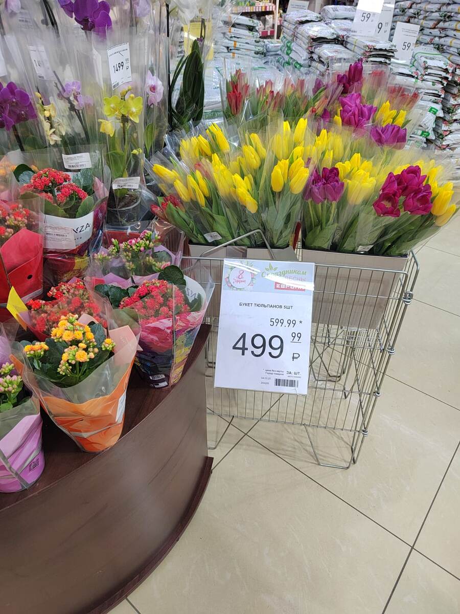 Фото автора канала. 