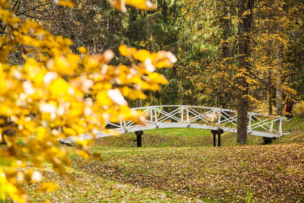    Псковская настольная игра претендует на победу во всероссийском конкурсе