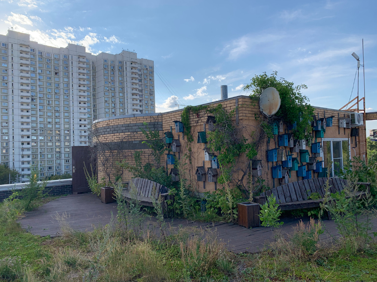 Крыша-сад по адресу г. Москва, ул. Шереметьевская, 34