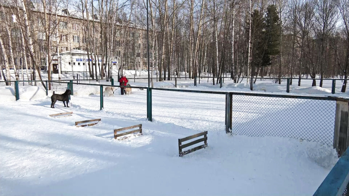    Вартовчане подготовили идеи для окружного конкурса инициативного бюджетирования