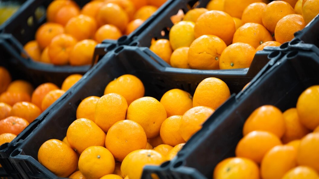    фото: Ruslan Yarocky/URA.RU