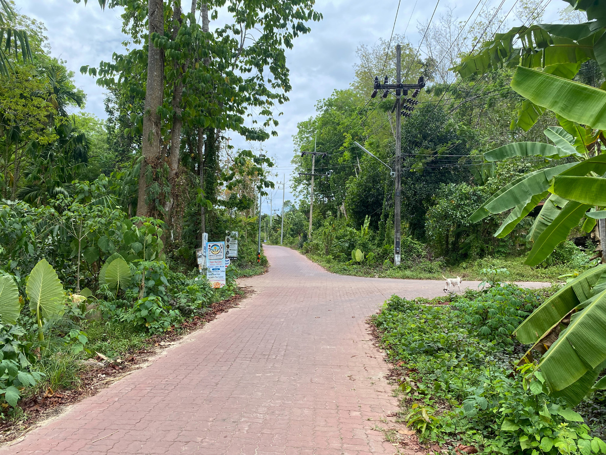 Выход из нашего тупичка. Пляж Чарли - прямо.