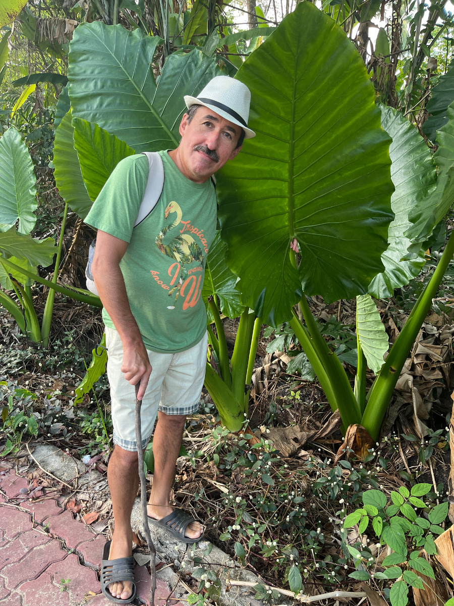 Ну как не сфотографироваться с такой банановой травой?...