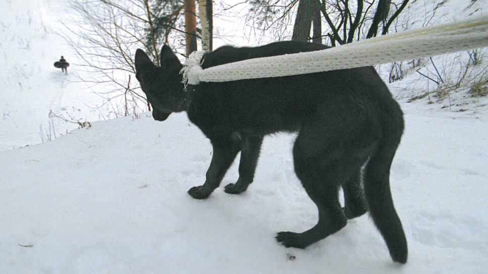 Фото: Павел Смертин / Коммерсантъ