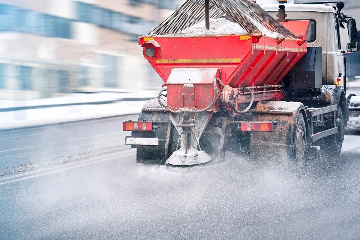    Фото: Tricky_Shark / Shutterstock.com