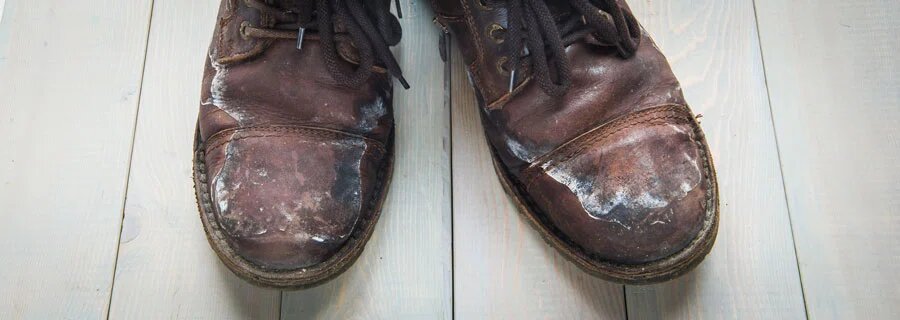    Фото: Oleg Golovnev / Shutterstock.com