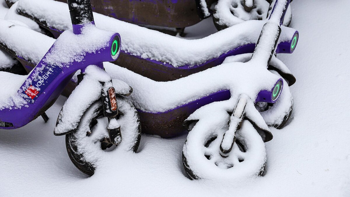    Фото: RAZMIK ZACKARYAN/globallookpress.com