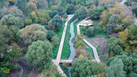    В Москве значительно увеличили штрафы за нарушения в зеленых зонах Владислав Пирогов