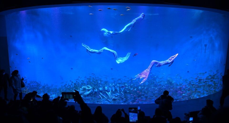    Zhou Mu/XinHua / www.globallookpress.com