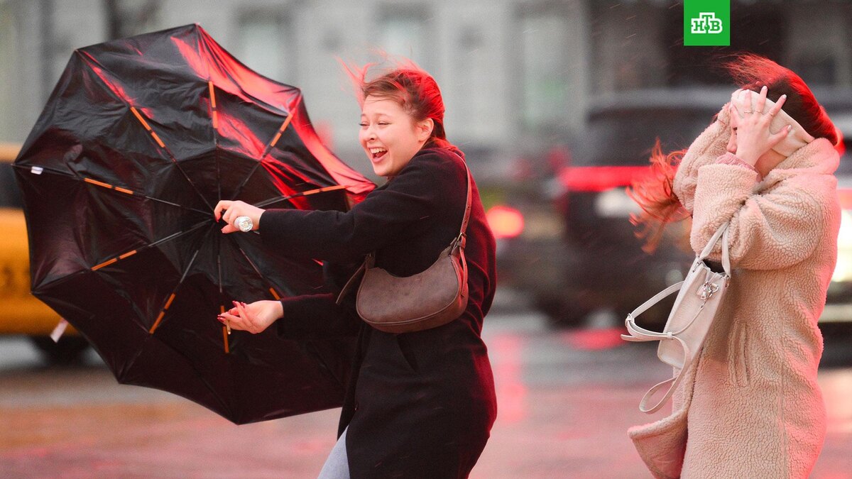    Фото: РИА Новости © 2025, Максим Блинов