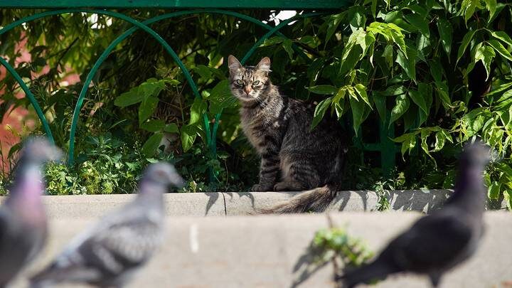  Фото: Александр Авилов / АГН Москва