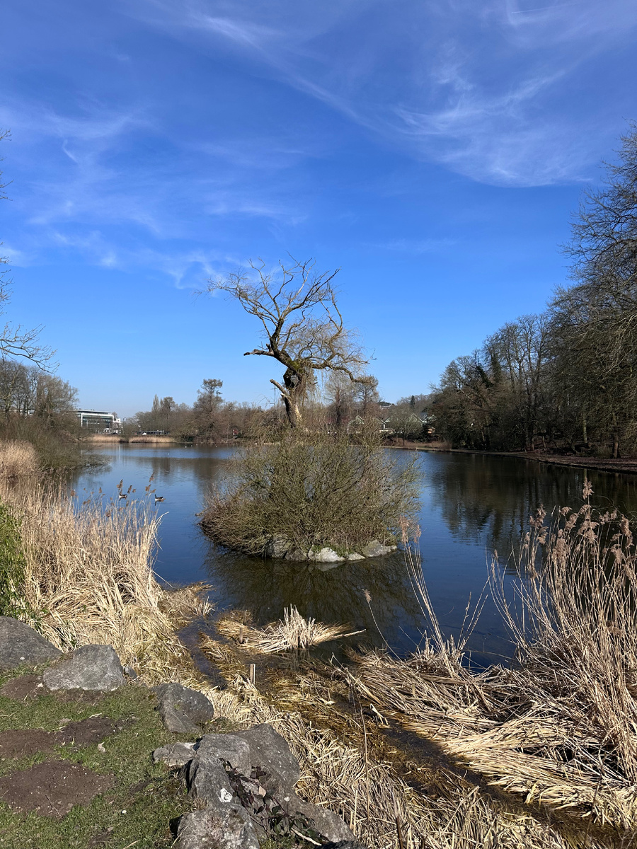 Мой любимый парк☺️