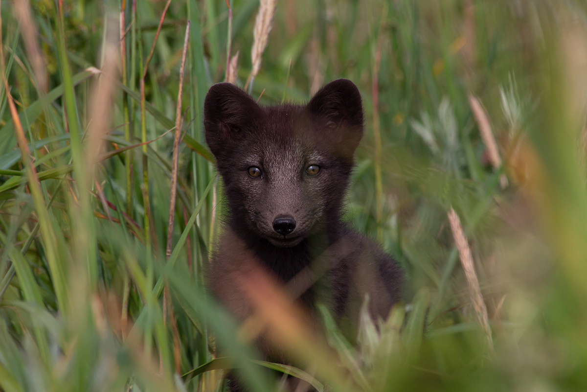 Анастасия Рванцова