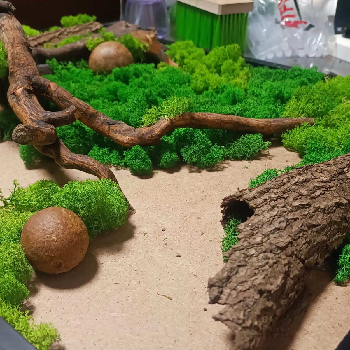 Процесс создания картины из природных материалов