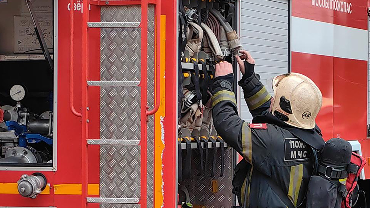 МедиаБанк Подмосковья/Елена Катасонова