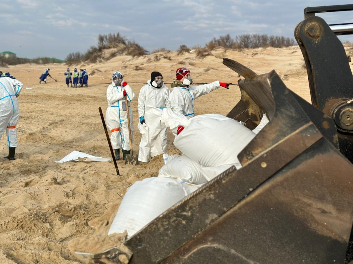    Волонтёры оперативно убирают новые выбросы мазута на берег. Фото: Движение «Экосистема»