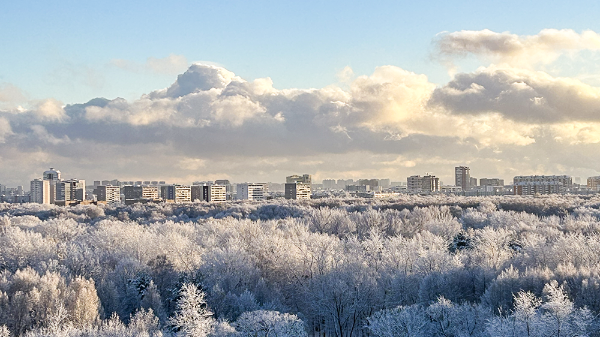     Фото: @polozovsky   
 Текст: Дарья Григоренко