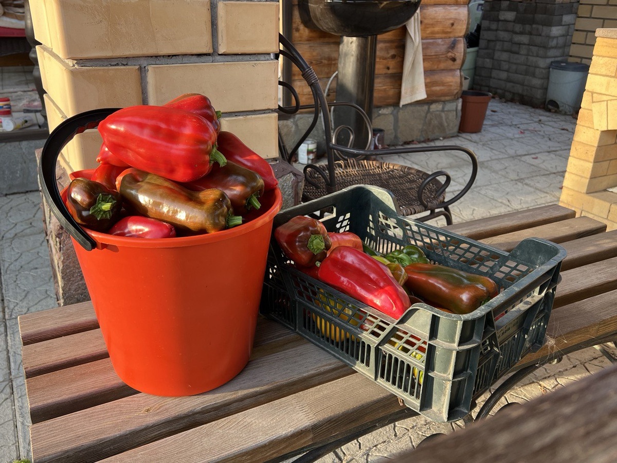 Фото автора канала Дом с кипарисами