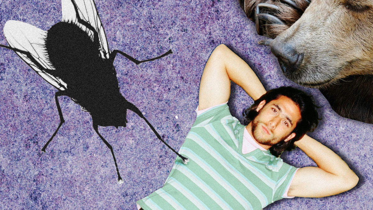 Кира Лисицкая (Фото: Unsplash.com; imageBROKER.com/Global Look Press; Bob Thomas/Getty Images)