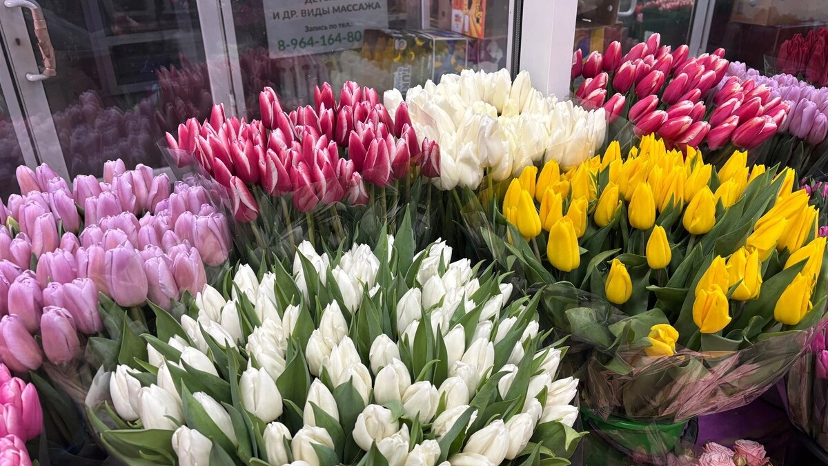     Источник: newstracker.ru