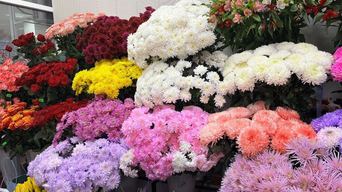     Источник: newstracker.ru