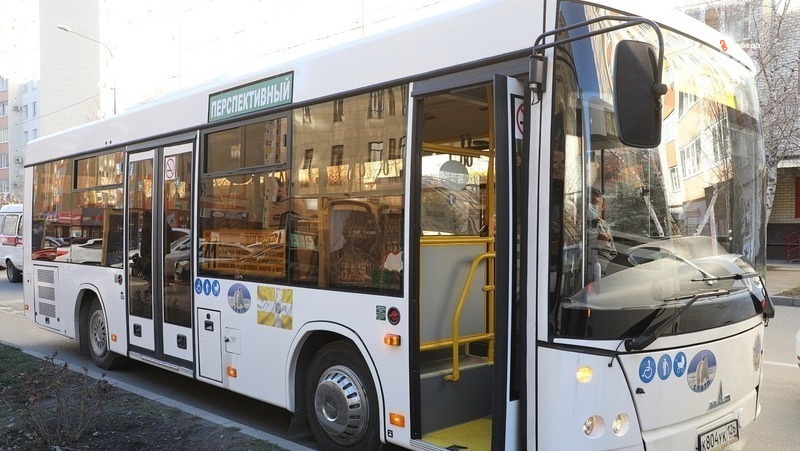      Фото: ИА «Победа26»