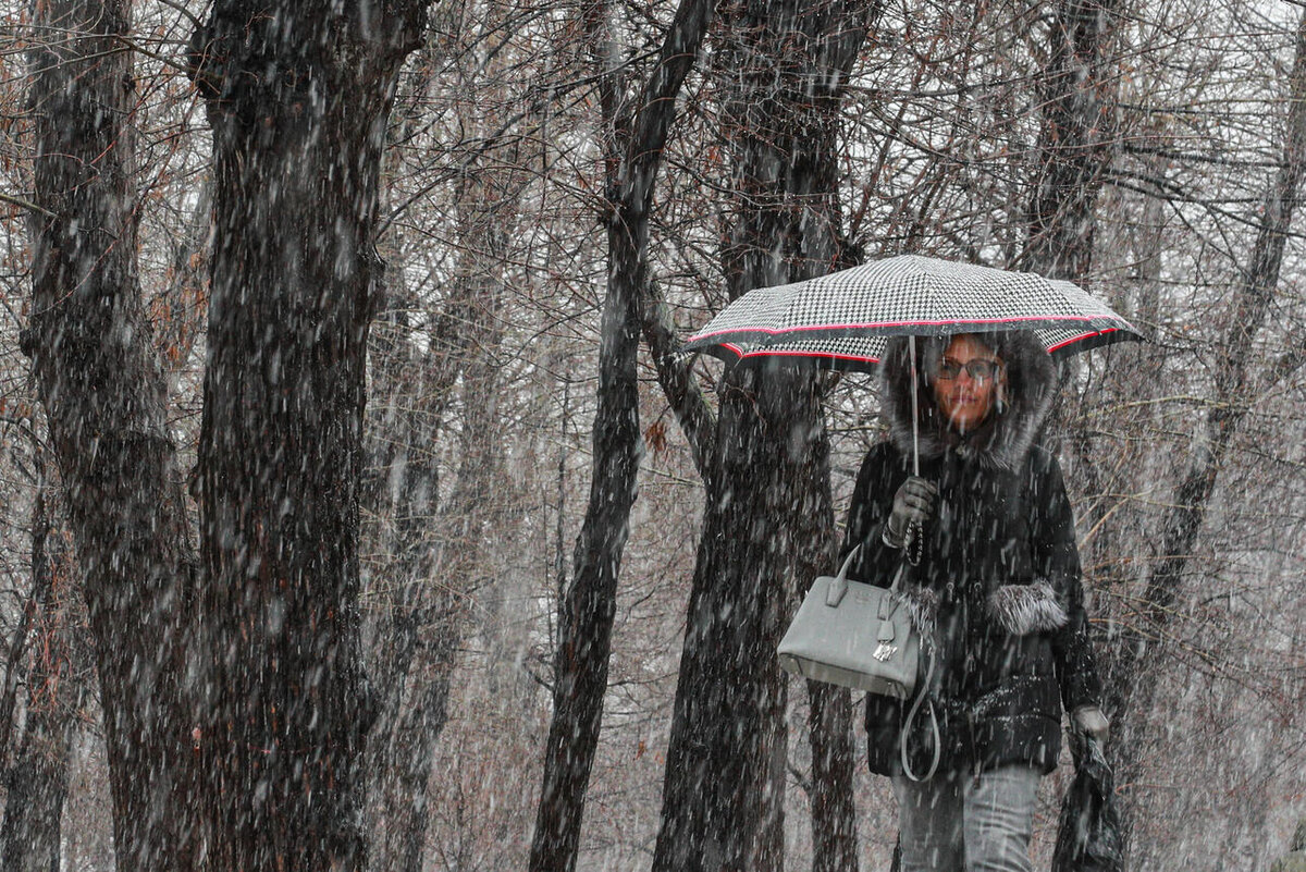     Bulkin Sergey/globallookpress.ru