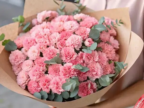   Букет маме из гвоздик от AzaliaNow Вера Курилыч