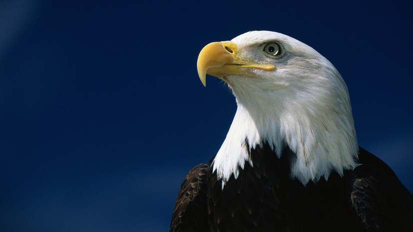   Gettyimages.ru VisionsofAmerica/Joe Sohm