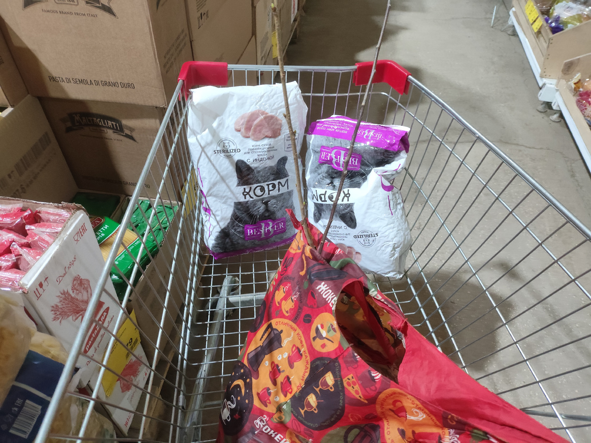 Моя корзина