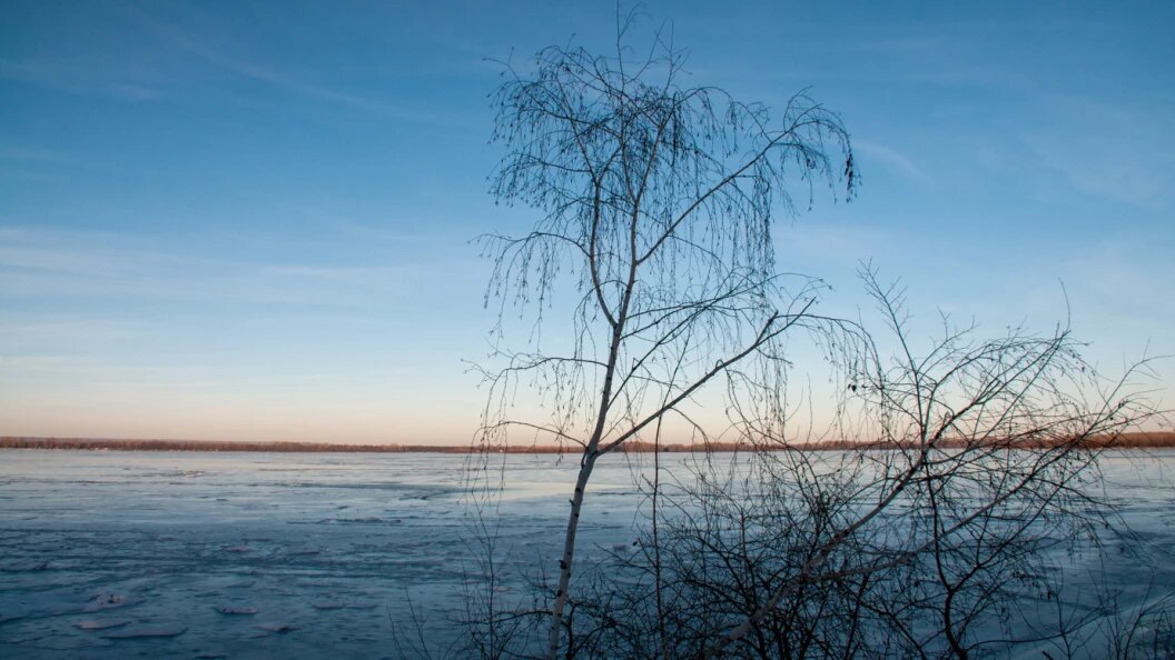    ФОТО: © SVETLANA VOZMILOVA/ GLOBAL LOOK PRESS