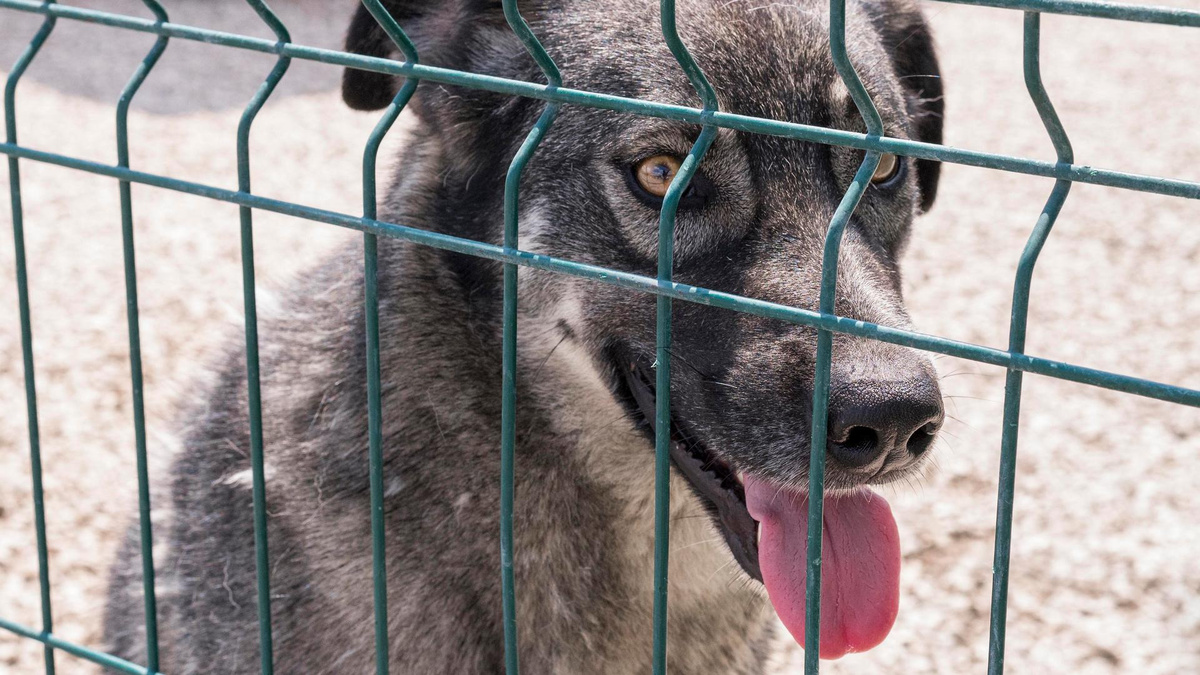     Источник: Изображение от freepik